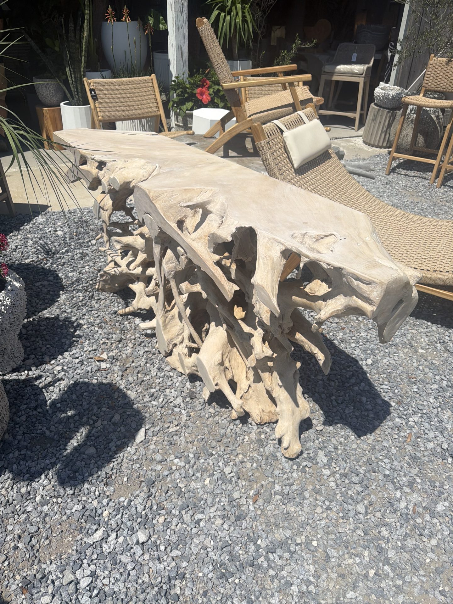 Teak root console - Image 2
